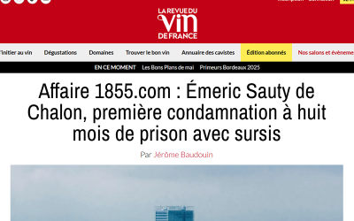 Affaire 1855.com : Émeric Sauty de Chalon, première condamnation à huit mois de prison avec sursis
